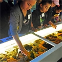 Children at the Aquarium touch tanks